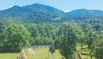 Interese mari, pământ… mai puțin! Bătălie pentru 100 de hectare de teren în Argeș