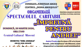 Centrul Cultural Mioveni – ÎMPREUNĂ PENTRU ANDREI