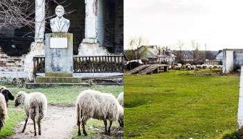La Conacul Perticari din Izvoru pasc oile. Primul spital rural din România, “dăruit”  de Consiliul Judeţean unei societăţi, a ajuns o ruină