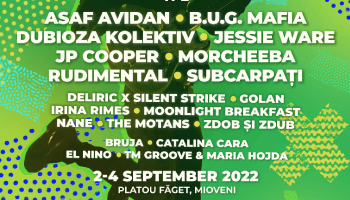 ANALOGUE Festival, un weekend  în natură cu muzică și artă la Mioveni