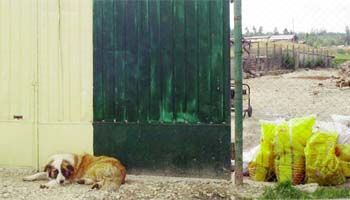 Aceeaşi mizerie de nedescris  la biobaza din Câmpulung