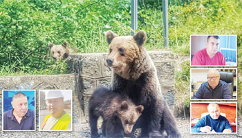 ALERTĂ! Urșii au ajuns în zonele limitrofe Piteștiului!