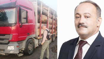 Se prescriu faptele până la soluționare? Începe apelul în dosarul primarului de la Vlădești – condamnat  pentru transport ilegal de lemne