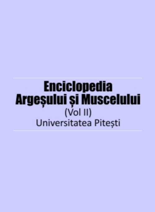 Enciclopedia Argeșului și Muscelului Vol II