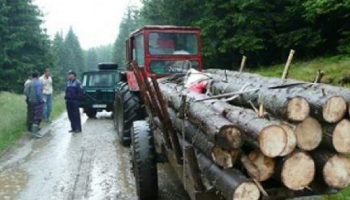 ”Radarul pădurilor”  a închis, în Argeș, peste  50 de firme de transport  și prelucrare a lemnului!