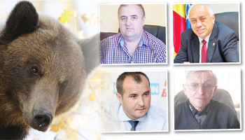 Semnal grav de alarmă! Primarul de la Nucșoara: ”Urșii s-au înmulțit nepermis. În doi-trei ani, vom fi mâncați de urși!”