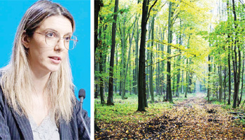Reorganizarea Romsilva – la mâna ONG-urilor și a USR?  Ce pregătește ministrul Diana Buzoianu?