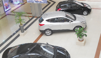 Sărăcie  mare  la Salonul Auto  Euromall