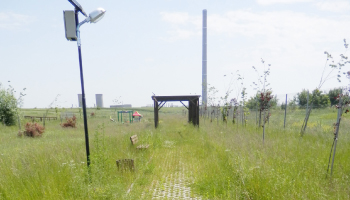 Aici sunt banii dumneavoastră! Mulți! Loc de joacă „plantat”, la Bradu, în mijlocul câmpului