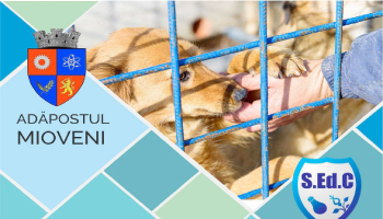 Servicii Edilitare pentru Comunitate Mioveni. Doriți să adoptați un câine din adăpostul nostru? Adopția este GRATUITĂ!