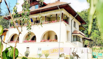 Din 25 martie, Centrul de Cultură ”Dinu Lipatti” va fuziona cu Muzeul Județean Argeș
