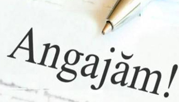 Societatea APĂ CANAL 2000 S.A. Piteşti angajează