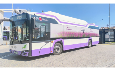 Transport gratuit la Simfonia Lalelelor, în Parcul Lunca Argeșului!