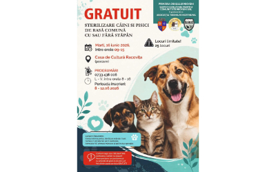 Campanie de sterilizări GRATUITE în Mioveni!