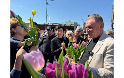 Primarul Cristian Gentea și echipa sa au oferit 30.000 de bulbi de lalele în Parcul Lunca Argeșului