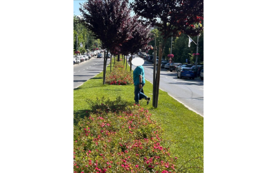 Spațiul verde NU este scurtătură!