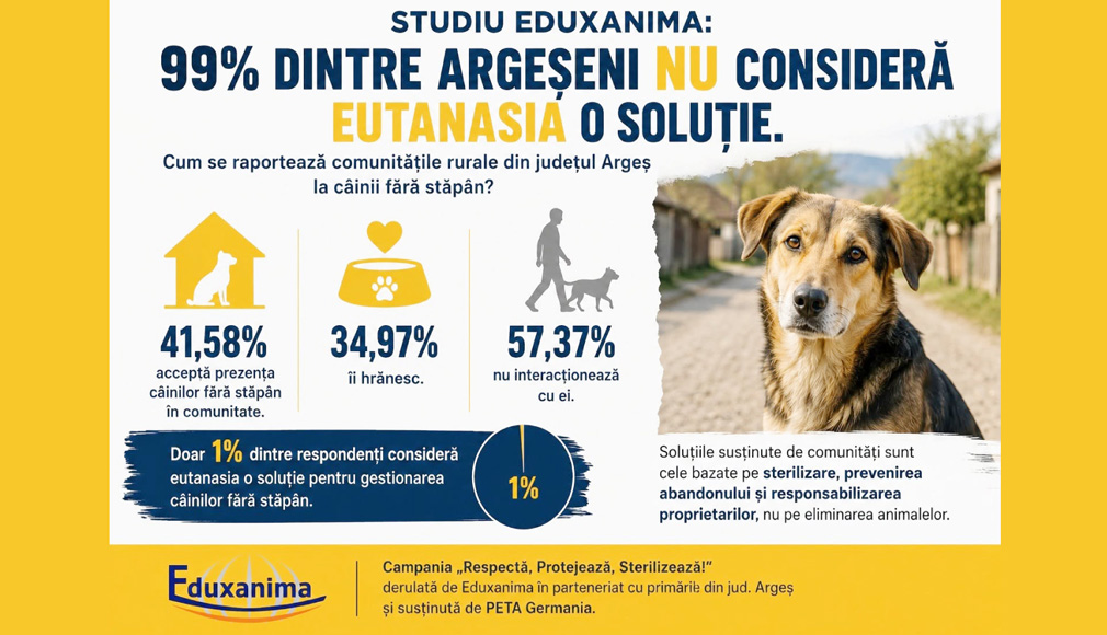 Empatia față de animalele fără  stăpân este mai prezentă, în comunitățile rurale, decât ne imaginăm