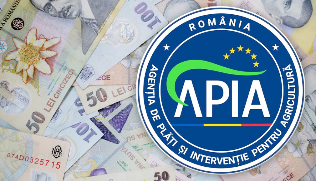 Candidata favorizată din scandalul de la APIA Argeș rămâne cu banii!