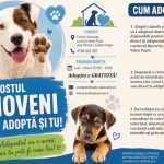Adoptă un câine, fii lumea lui!
