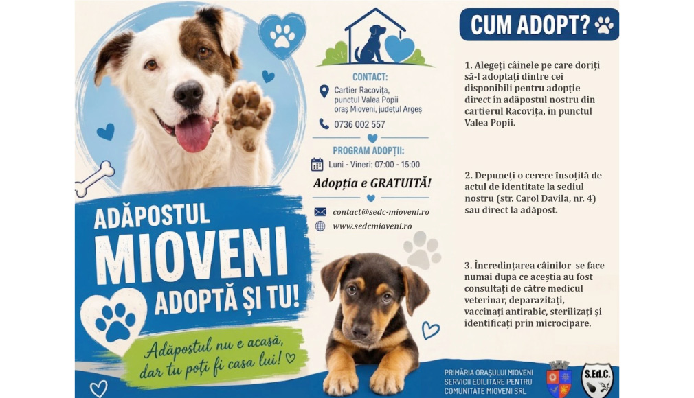 Adoptă un câine, fii lumea lui!