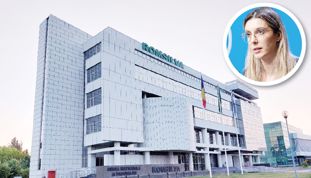 Tunurile de la Romsilva continuă! Reforma întârzie, primele rămân…