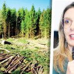 Tehnologie de ultimă generație împotriva tăierilor ilegale. România trece la supravegherea digitală a fondului forestier