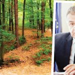 Bătălia pentru Pădurea Trivale continuă!  Referendum propus de USR contra viziunii  de „pădure-parc” a primarului Cristian Gentea