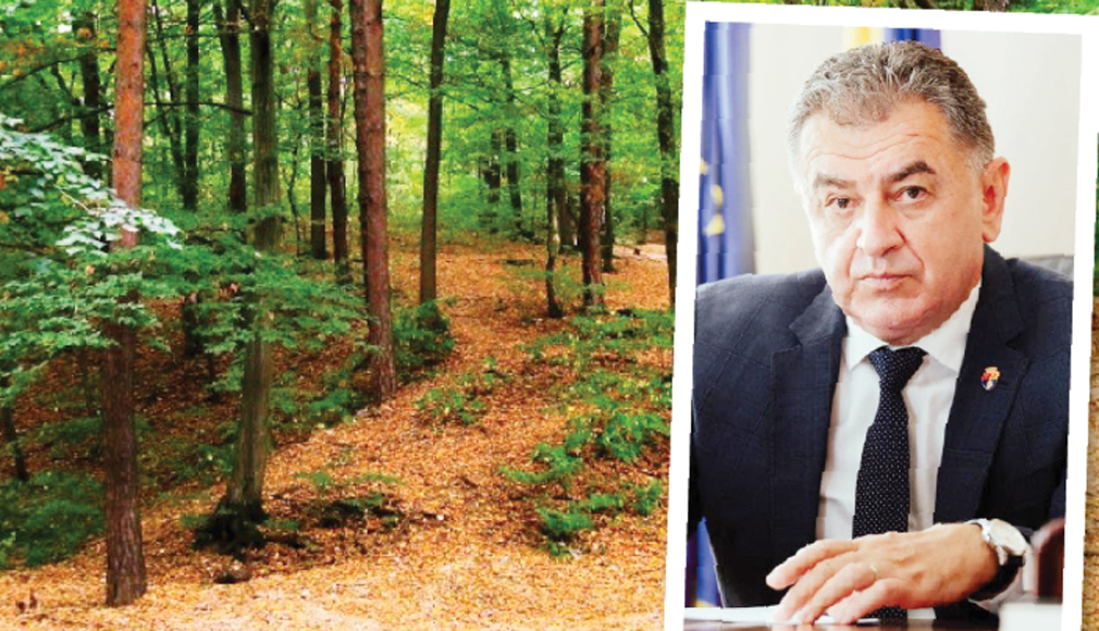 Bătălia pentru Pădurea Trivale continuă!  Referendum propus de USR contra viziunii  de „pădure-parc” a primarului Cristian Gentea